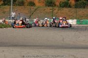 DSC_0390 (2)